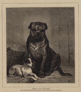 Skönheten och odjuret